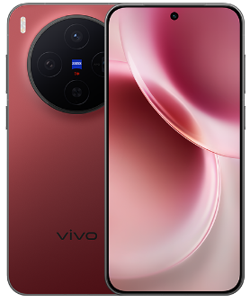 vivo X300